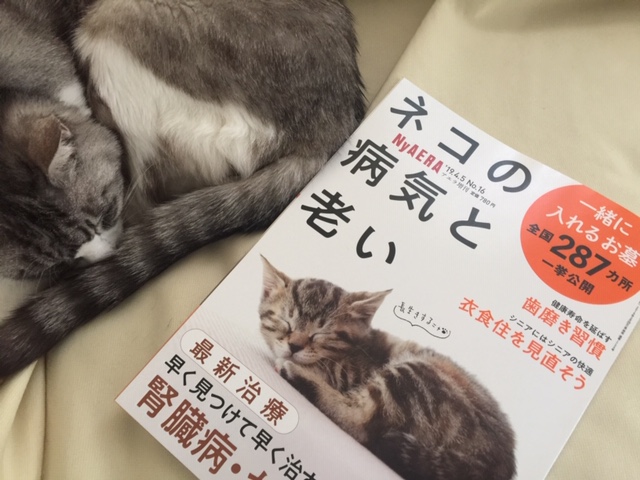 NyAERAニャエラ「ネコの病気と老い」高齢猫さん必読ですにゃ
